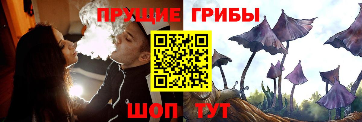 Воркута  Псилоцибиновые грибы Psilocybe  Вход с VPN 